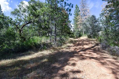 6500 Will Rd, Placerville, CA 95667 photo 37