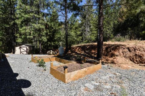 6500 Will Rd, Placerville, CA 95667 photo 34