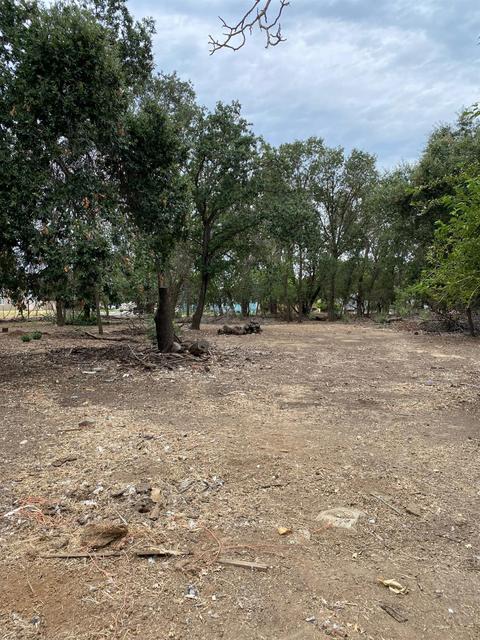 10298 N St, Live Oak, CA 95953 photo 14
