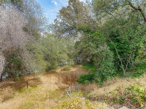 7016 Shady Ln, Placerville, CA 95667 photo 6