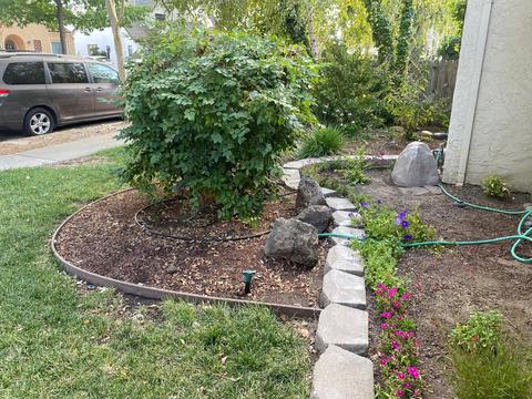 219 Berverdor, Tracy, CA 95376 photo 40