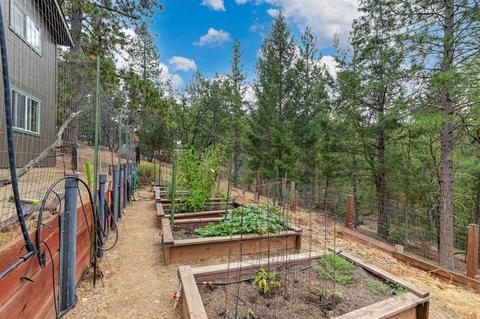 190 Twin Pnes, Colfax, CA 95713 photo 33