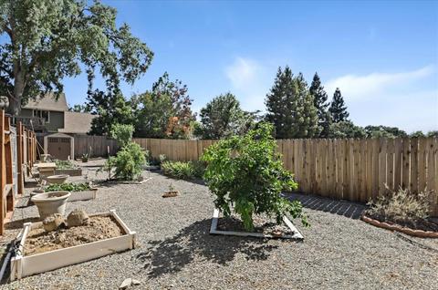6001 Beech Ave, Orangevale, CA 95662 photo 45