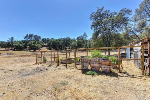 1590 Lotus Rd, Placerville, CA 95667 photo 6