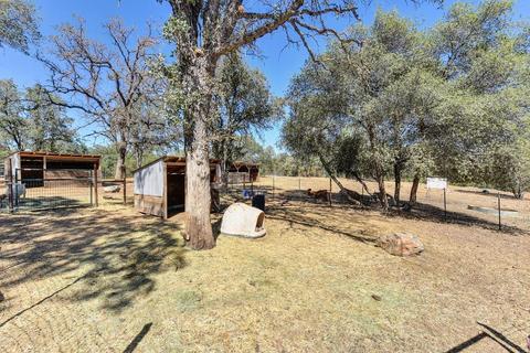 1590 Lotus Rd, Placerville, CA 95667 photo 58