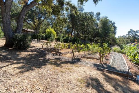 6715 Long Ave, Placerville, CA 95667 photo 37