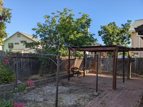 8310 Bramble Bush Cir, Antelope, CA 95843 photo 29