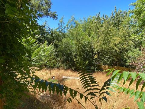 239 Matson Ln, West Point, CA 95255 photo 15