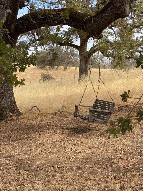 Undisclosed, Wheatland, CA 95692 photo 18