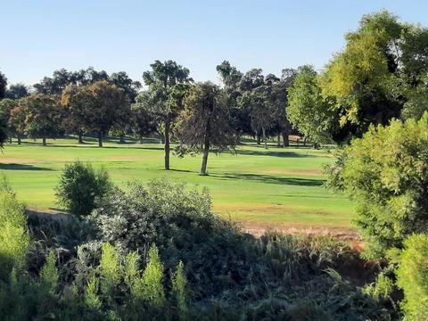 1205 Crater Ave, Modesto, CA 95351 photo 32