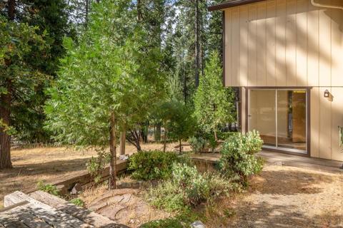 1675 Jerrilynn Dr, Arnold, CA 95223 photo 29