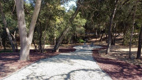 6005 Oak Ave, Carmichael, CA 95608 photo 33