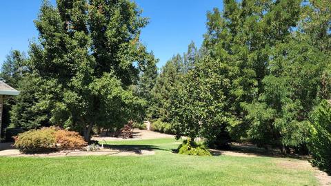 6702 Hickory Ave, Orangevale, CA 95662 photo 40