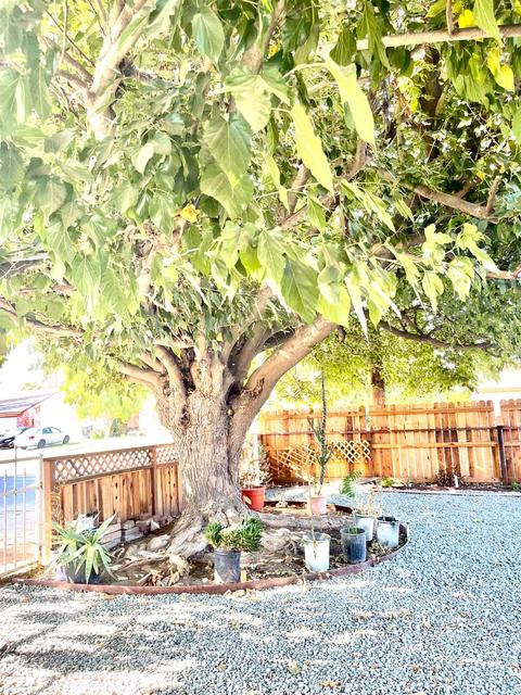 1940 Robertson Rd, Modesto, CA 95351 photo 22