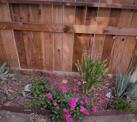 1940 Robertson Rd, Modesto, CA 95351 photo 23
