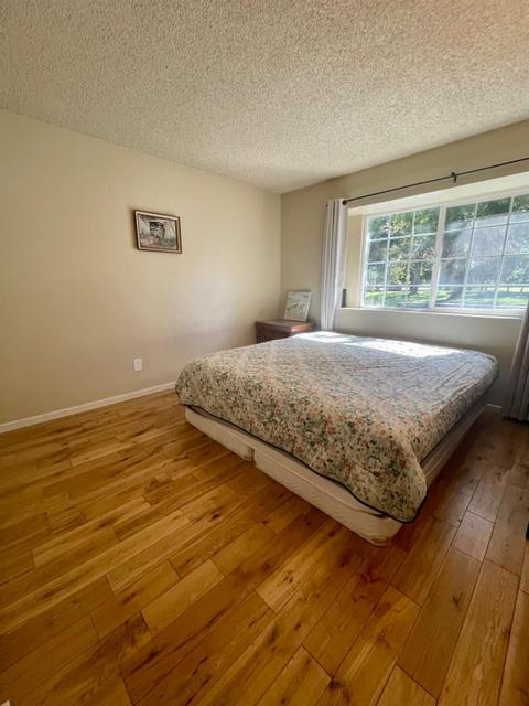 1213 Lillian Dr, Modesto, CA 95355 photo 29
