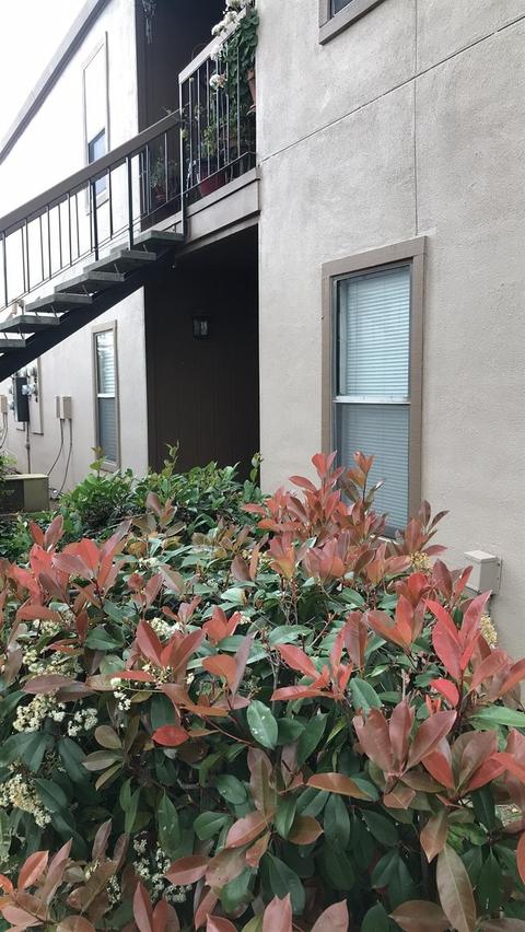 2900 Andre Ln #154, Turlock, CA 95382 photo 2