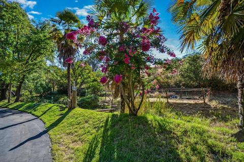 15040 Clinton Rd, Jackson, CA 95642 photo 14