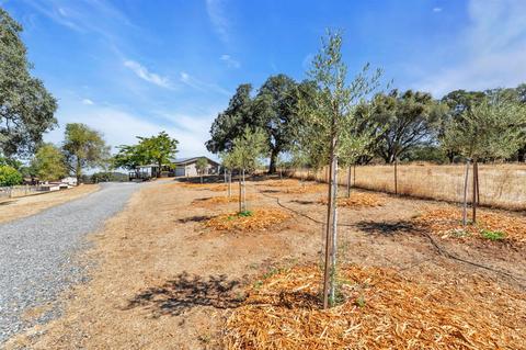 3961 Luneman Rd, Placerville, CA 95667 photo 3