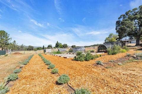 3961 Luneman Rd, Placerville, CA 95667 photo 47