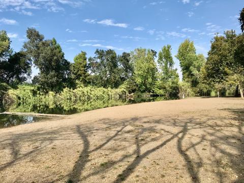 1409 Midvale Rd, Lodi, CA 95240 photo 41