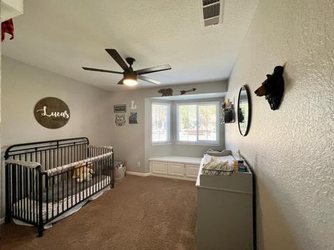 2905 Larrynell Dr, Ceres, CA 95307 photo 27