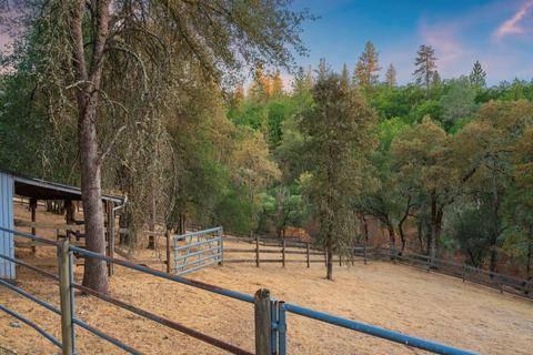 3078 Stagecoach Rd, Placerville, CA 95667 photo 48