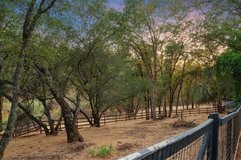 3078 Stagecoach Rd, Placerville, CA 95667 photo 50