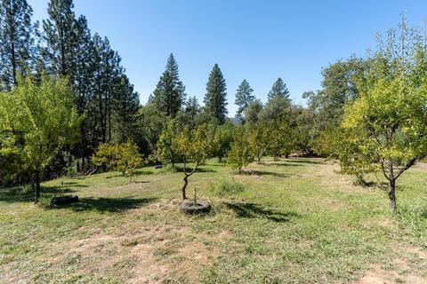 1121 Big Oak Rd, Placerville, CA 95667 photo 42