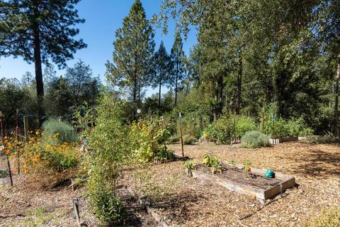 1121 Big Oak Rd, Placerville, CA 95667 photo 37