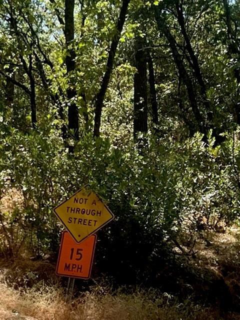 1121 Big Oak Rd, Placerville, CA 95667 photo 68