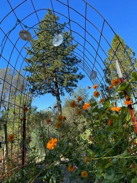 1121 Big Oak Rd, Placerville, CA 95667 photo 39