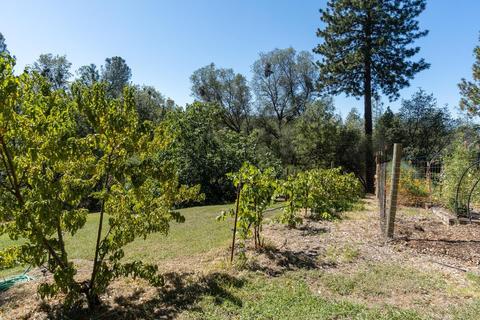 1121 Big Oak Rd, Placerville, CA 95667 photo 38