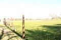 22125 W Wallen Rd, Red Bluff, CA 96080 photo 4