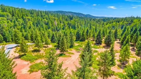 4006 Via Sequoia, Georgetown, CA 95634 photo 33
