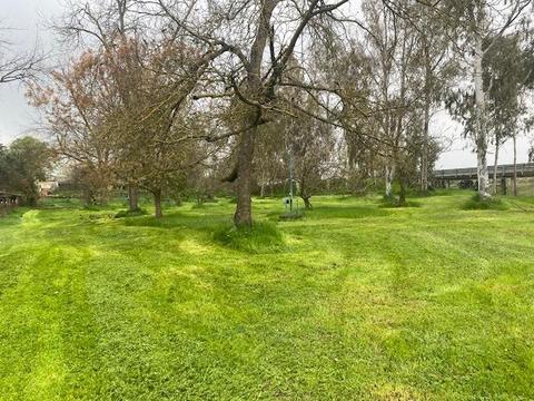 13525 E Victor Rd, Lodi, CA 95240 photo 56