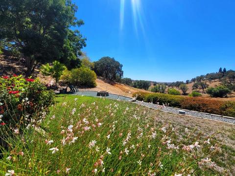 24 Turnstone Ct, Wallace, CA 95254 photo 47