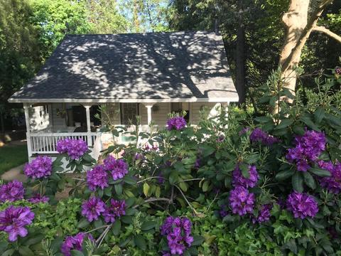 349 Mill St, Grass Valley, CA 95945 photo 71