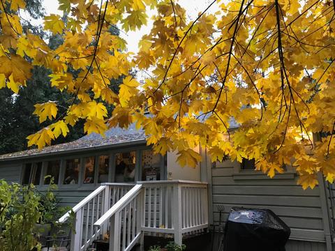349 Mill St, Grass Valley, CA 95945 photo 69