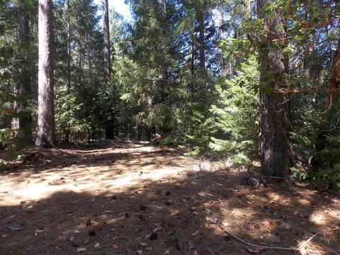 26311 Shake Ridge Rd, Volcano, CA 95689 photo 5