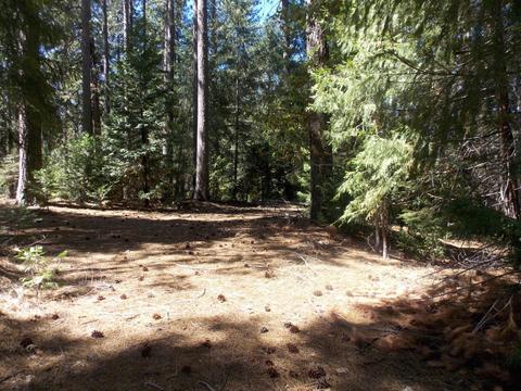26311 Shake Ridge Rd, Volcano, CA 95689 photo 4