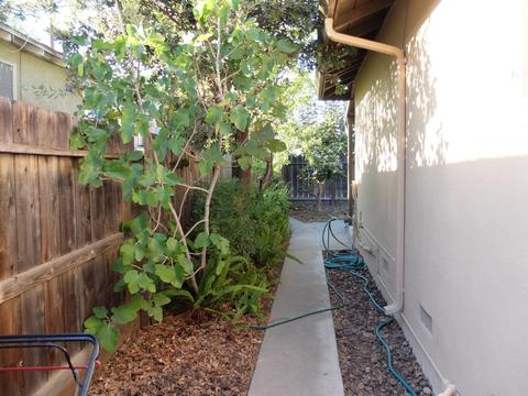 2027 Joaquin St, Modesto, CA 95350 photo 39