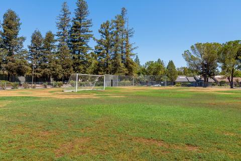 844 Lake Blvd, Davis, CA 95616 photo 42