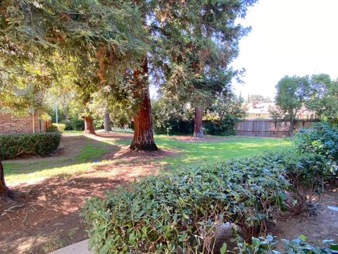 3939 Oak Villa Cir, Carmichael, CA 95608 photo 2