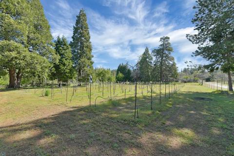 23370 Lark Ln, Volcano, CA 95689 photo 67
