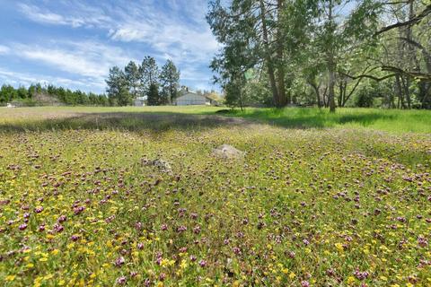 23370 Lark Ln, Volcano, CA 95689 photo 71