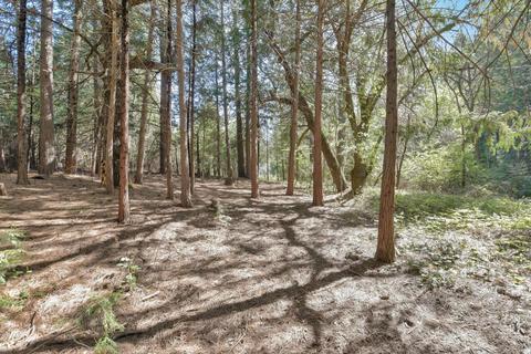 23370 Lark Ln, Volcano, CA 95689 photo 78