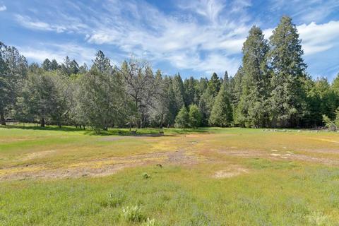 23370 Lark Ln, Volcano, CA 95689 photo 46