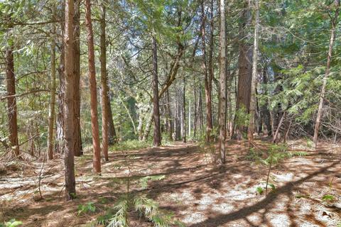 23370 Lark Ln, Volcano, CA 95689 photo 77