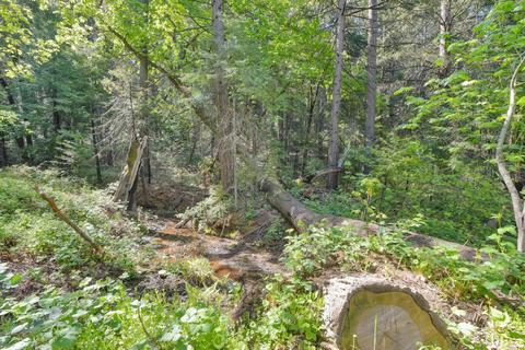 23370 Lark Ln, Volcano, CA 95689 photo 73